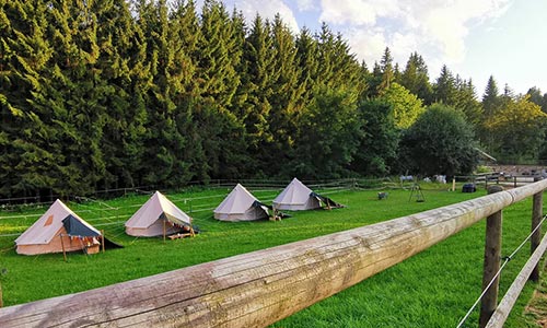 Glamping Zelte